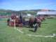 cimg0364_small.jpg