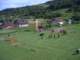 cimg0390_small.jpg