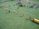 cimg0399_small.jpg